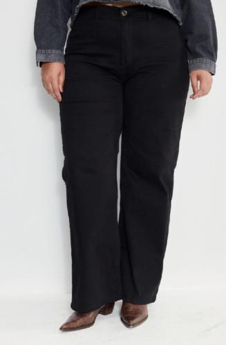 Plus Size Inquieta wide leg 